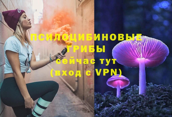 мяу мяу мука Горняк