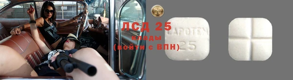 мяу мяу мука Горняк