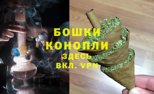 spice Усинск