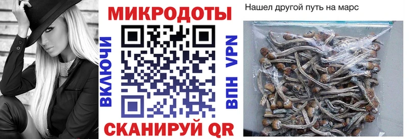 Псилоцибиновые грибы Psilocybe где купить Можайск