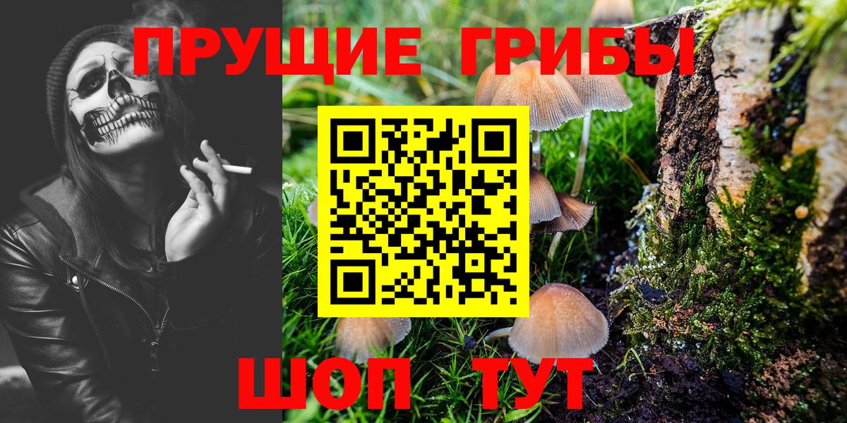 Галлюциногенные грибы Cubensis Можайск