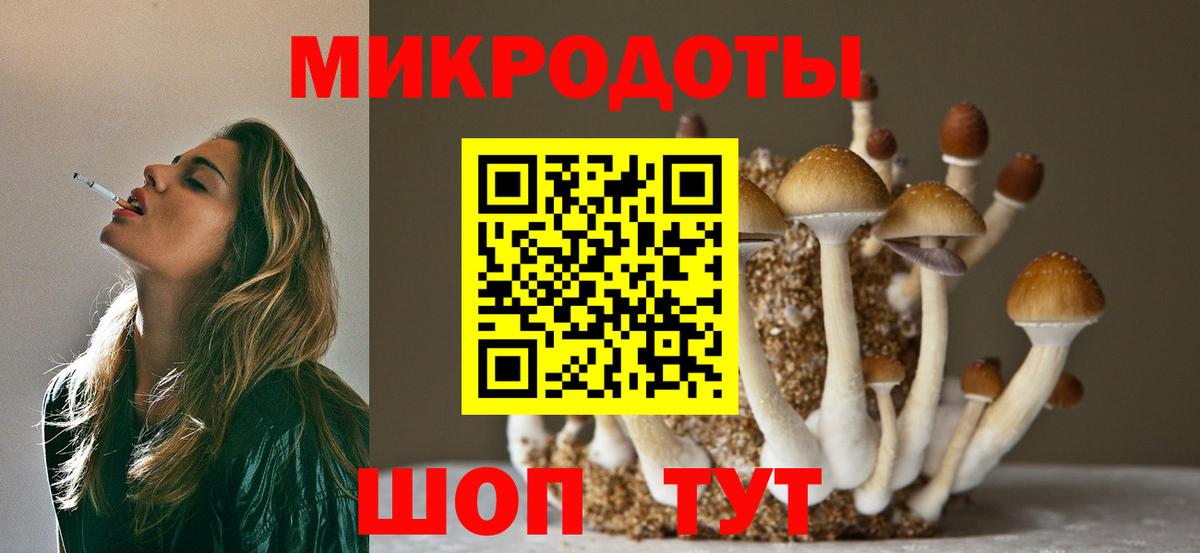 Галлюциногенные грибы GOLDEN TEACHER  Вход с VPN  Можайск  Галлюциногенные грибы Cubensis 